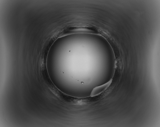 X0000085040564200703051354
