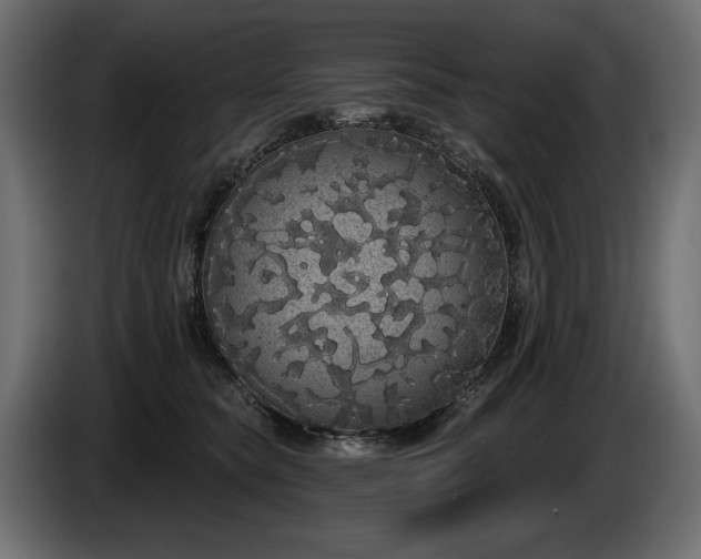 X0000085040565200703051354