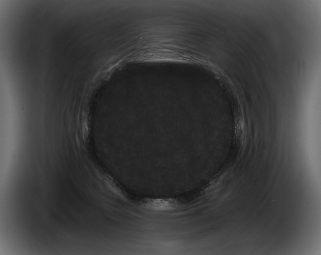 X0000085040566200703051354