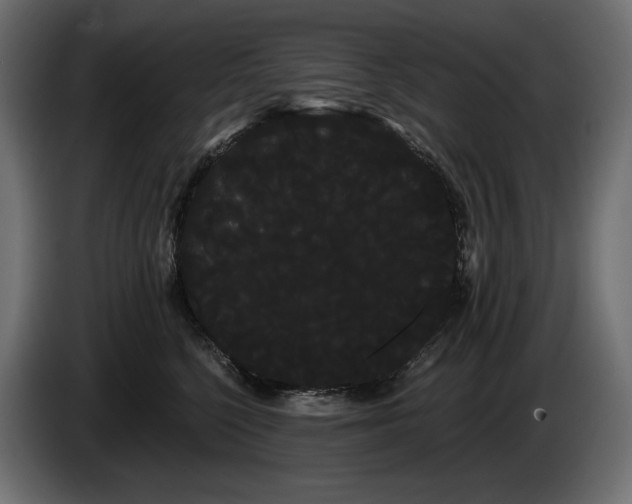 X0000085040568200703051354