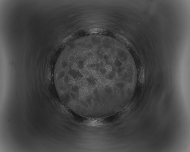X0000085040569200703051354