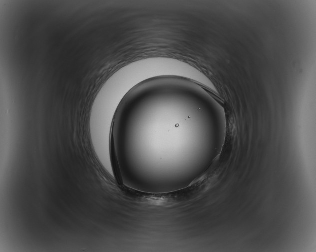 X0000085040570200703051354