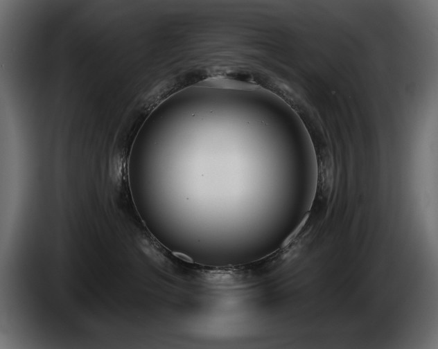 X0000085040574200703051354