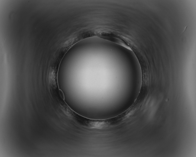 X0000085040575200703051354