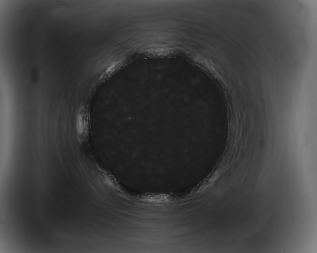 X0000085040576200703051354