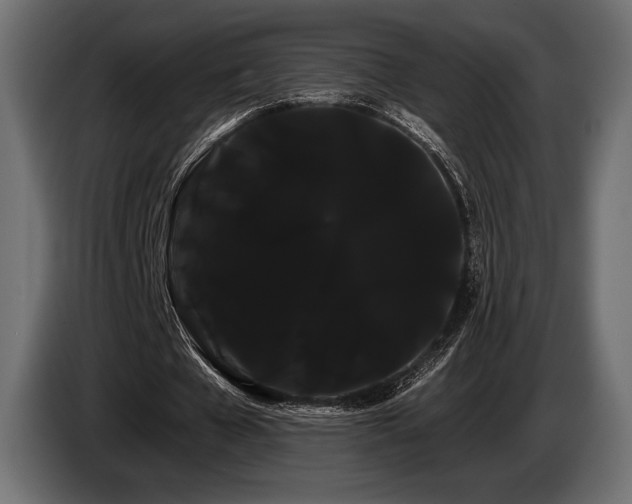 X0000085040577200703051353
