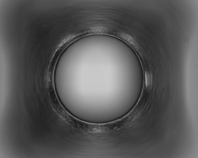 X0000085040579200703051353