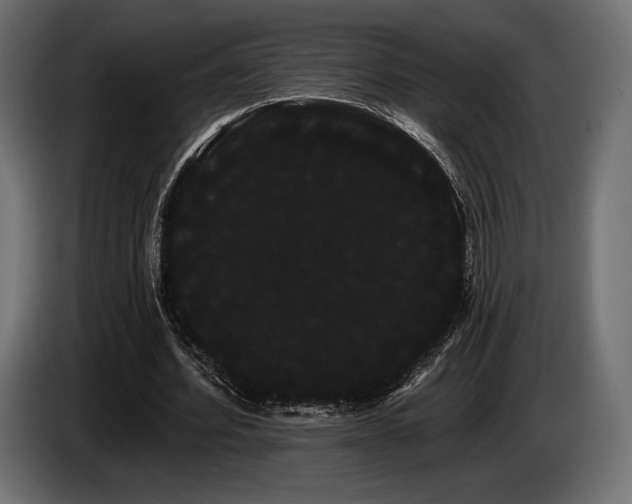 X0000085040580200703051353