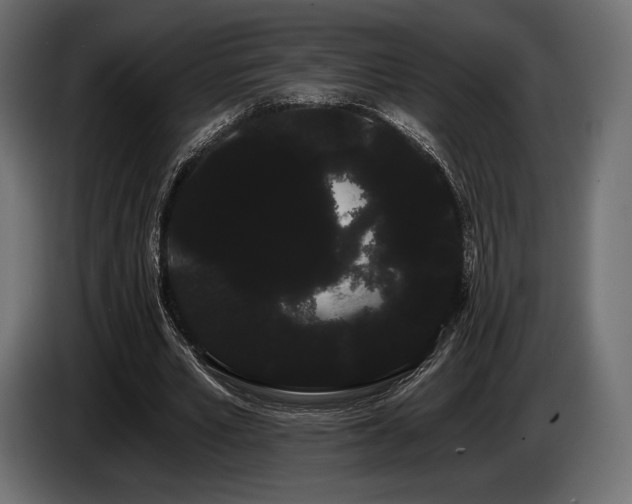 X0000085040581200703051353