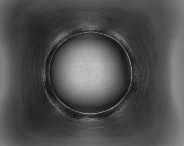 X0000085040582200703051353
