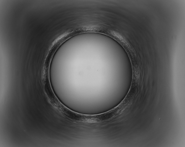 X0000085040583200703051353