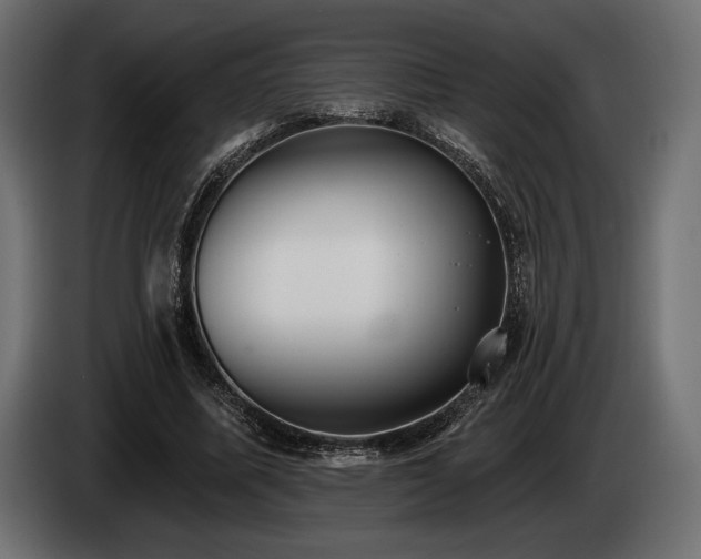 X0000085040587200703051353