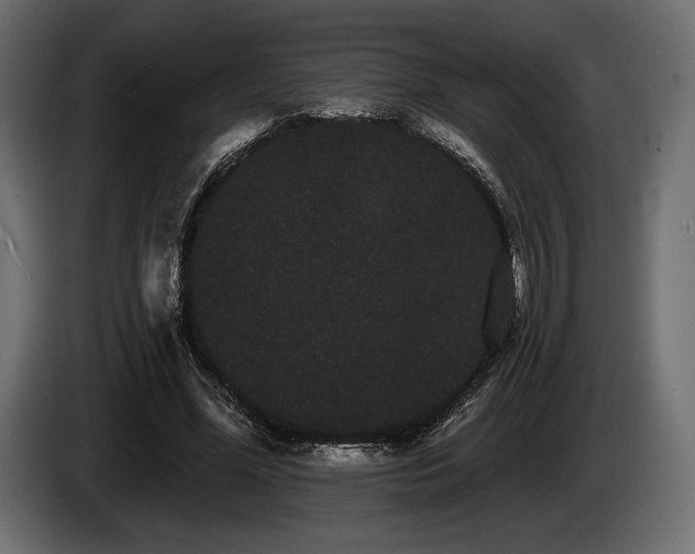 X0000085040588200703051353