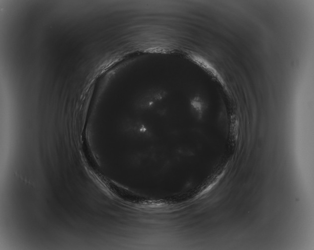X0000085040589200703051353