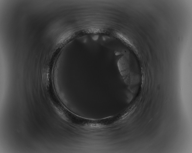 X0000085040590200703051353