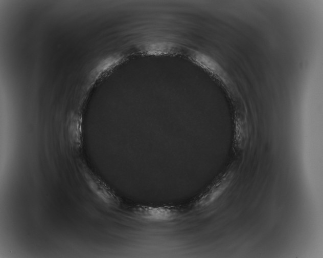 X0000085040592200703051353