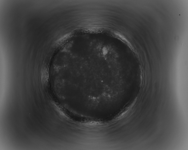 X0000085040593200703051353