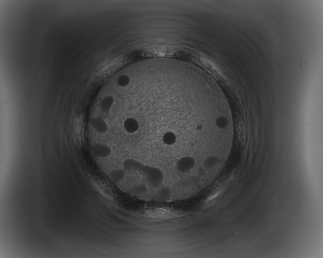 X0000085040594200703051353