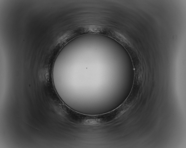 X0000085040595200703051353