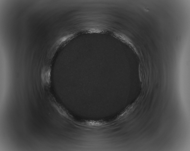 X0000085040596200703051353
