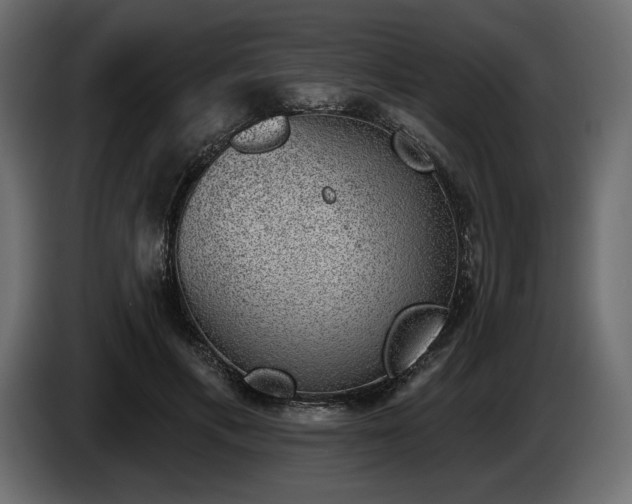 X0000085040597200703051353