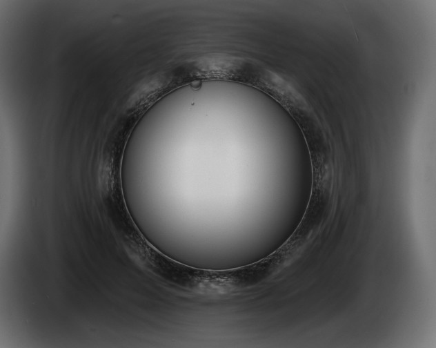X0000085040599200703051353