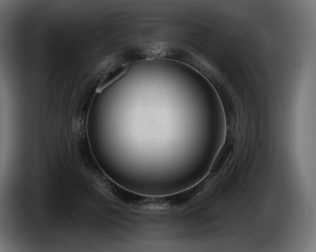 X0000085040601200703051353
