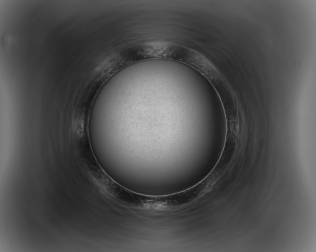 X0000085040602200703051353