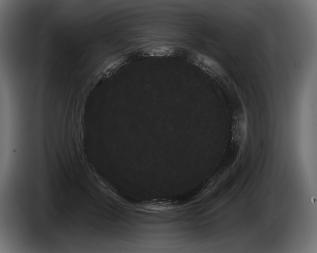 X0000085040604200703051353