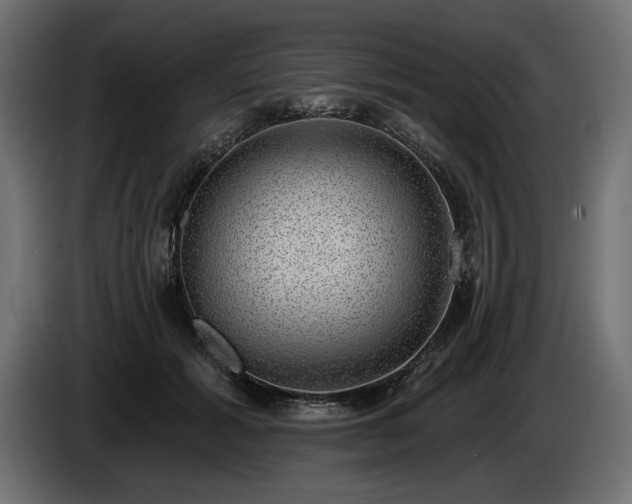X0000085040605200703051353