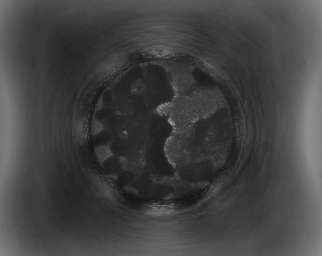 X0000085040606200703051353