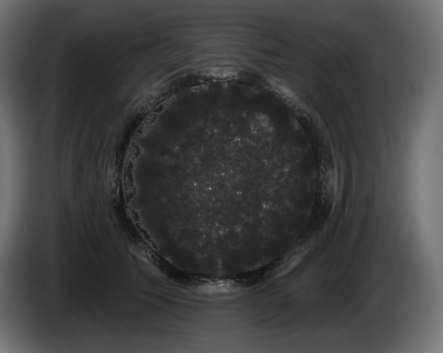 X0000085040609200703051353