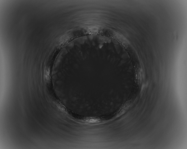 X0000085040610200703051353