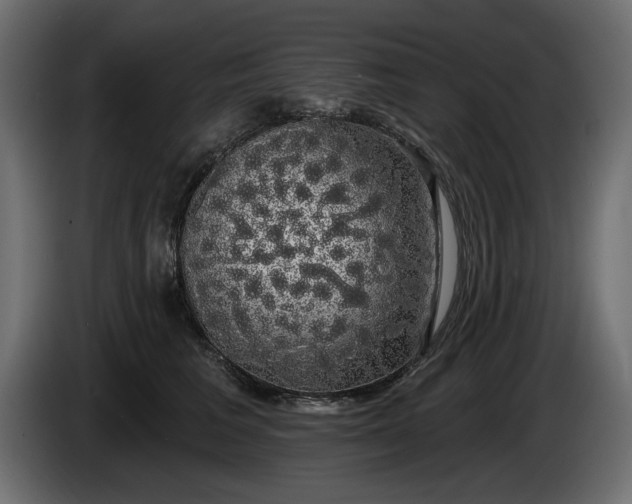 X0000085040613200703051353