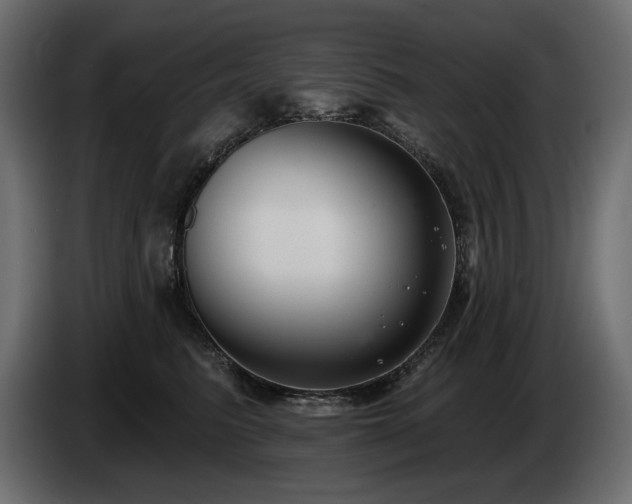 X0000085040615200703051353