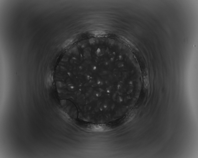 X0000085040618200703051352