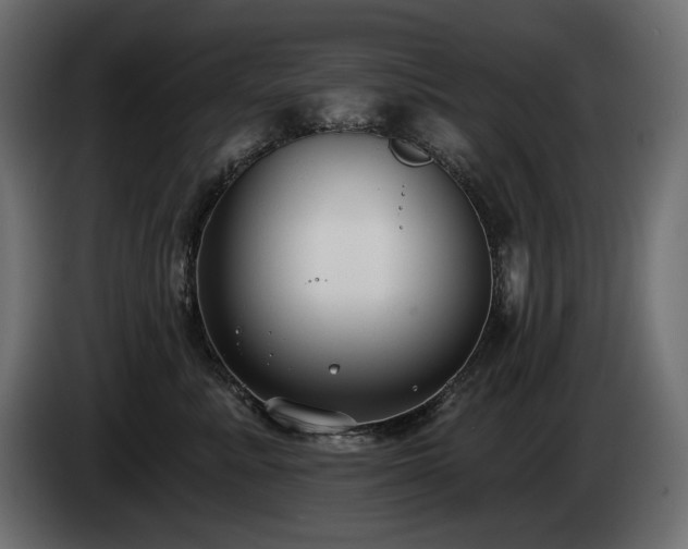 X0000085040619200703051352