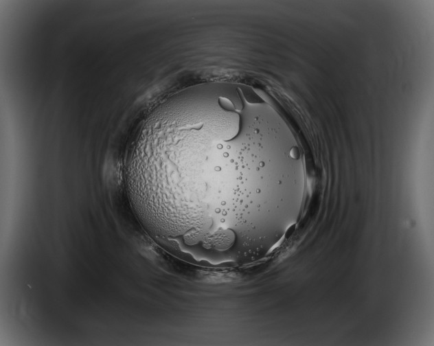 X0000085040621200703051352
