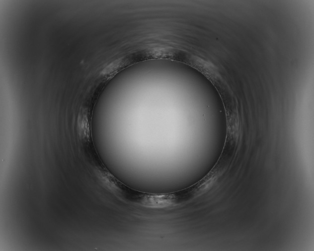 X0000085040622200703051352