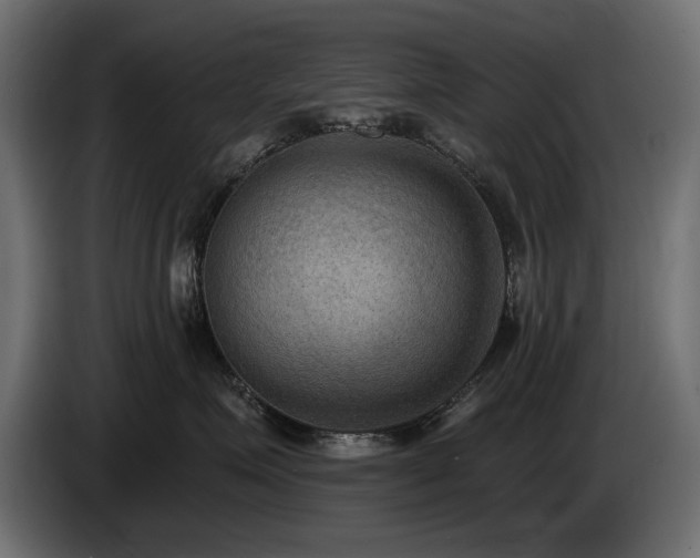 X0000085040623200703051352
