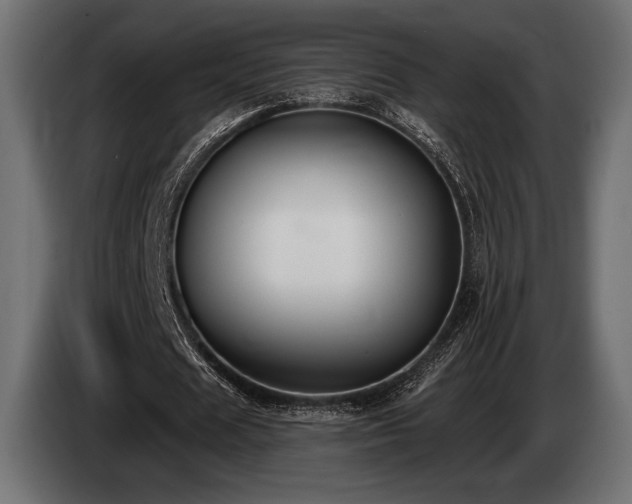 X0000085040625200703051352