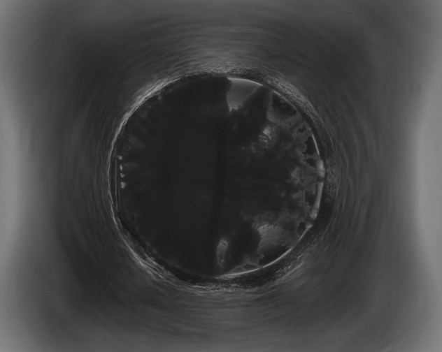 X0000085040626200703051352