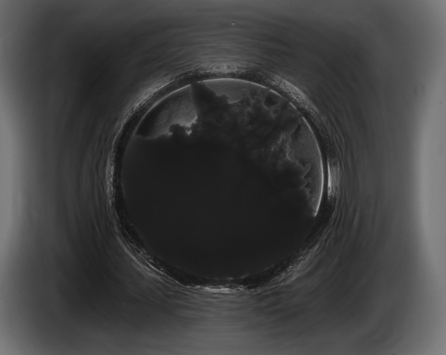 X0000085040627200703051352