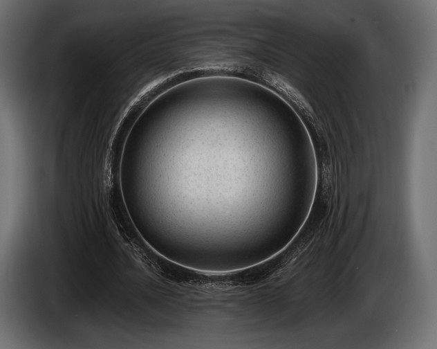 X0000085040628200703051352