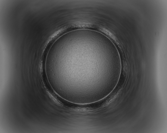 X0000085040629200703051352
