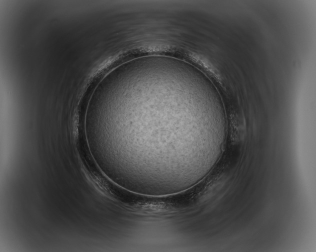 X0000085040631200703051352