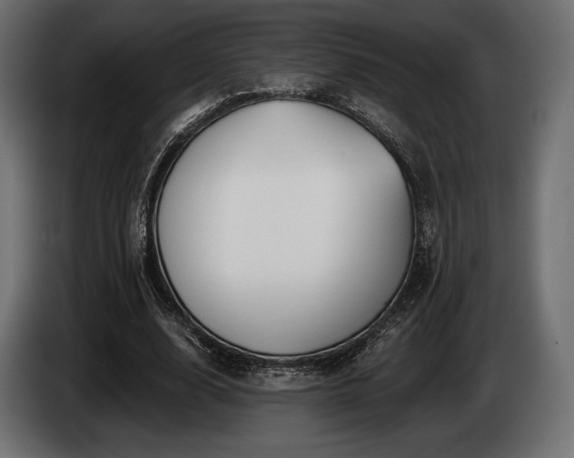 X0000085040632200703051352