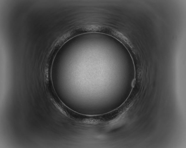 X0000085040633200703051352