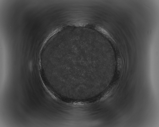 X0000085040634200703051352