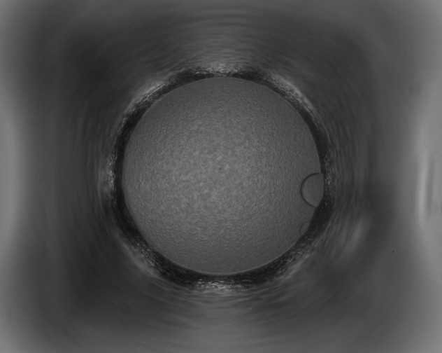 X0000085040635200703051352